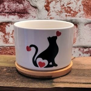 Cat Love Succulent Pot
